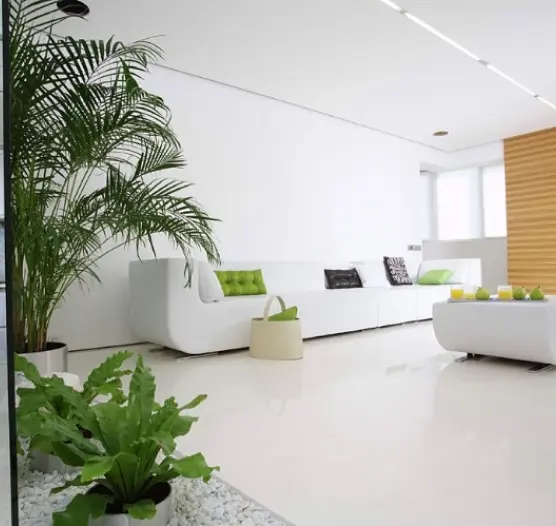 Sustainable interior design services California