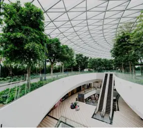 landscaping design services