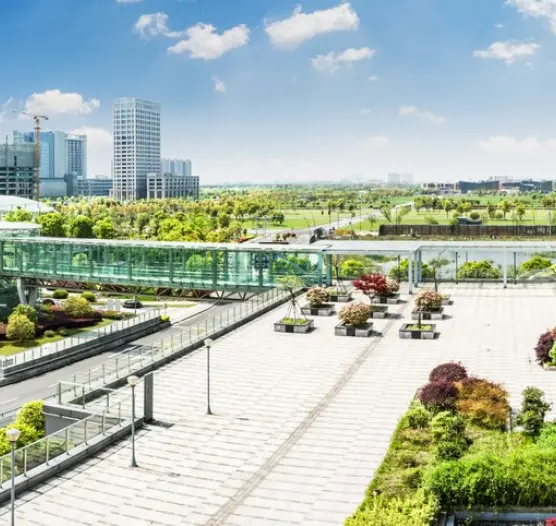 online landscape design service