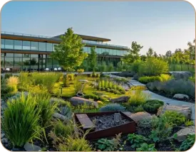 Landscape Rendering Services in Pennsylvania