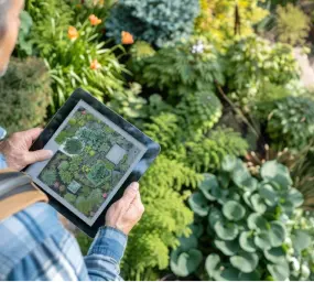 landscaping design services in Pennsylvania