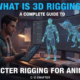 3D Rigging