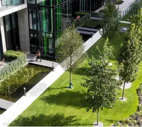Landscape Architecture Services North Carolina